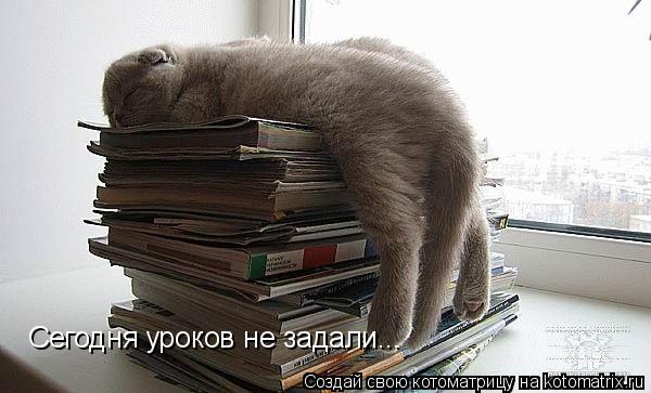 Сегодня уроков не задали...... Котоматрица: Сегодня уроков не задали...