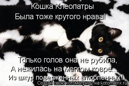 Кошка Клеопатры Была тоже крутого нрава! Только голов она не рубила, А нежилась на мегком ковре... И... Котоматрица: Кошка Клеопатры Была тоже крутого нрава! Только голов она не рубила, А нежилась на мегком ковре... Из шкур поверженных влюбленных!
