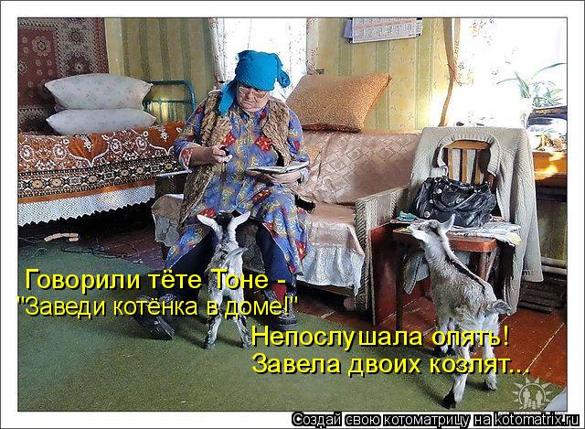 Говорили тёте Тоне - "Заведи котёнка в доме!" Непослушала опять! Завела двоих козлят...... Котоматрица: Говорили тёте Тоне - "Заведи котёнка в доме!" Непослушала опять! Завела двоих козлят...
