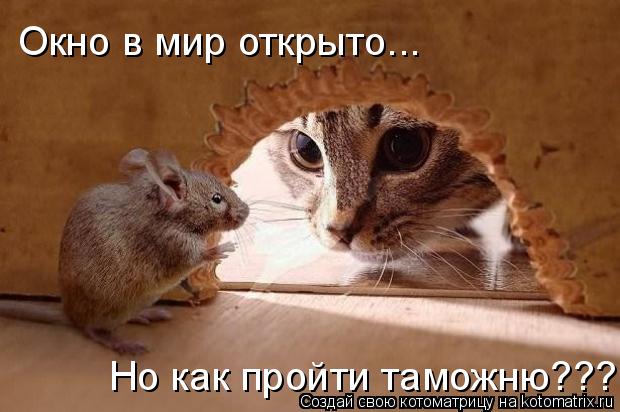 Но как пройти таможню??? Окно в мир открыто...... Котоматрица: Но как пройти таможню??? Окно в мир открыто...