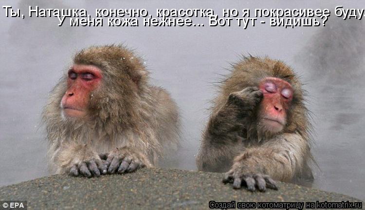 Котоматрица: Ты, Наташка, конечно, красотка, но я покрасивее буду. У меня кожа нежнее... Вот тут - видишь?