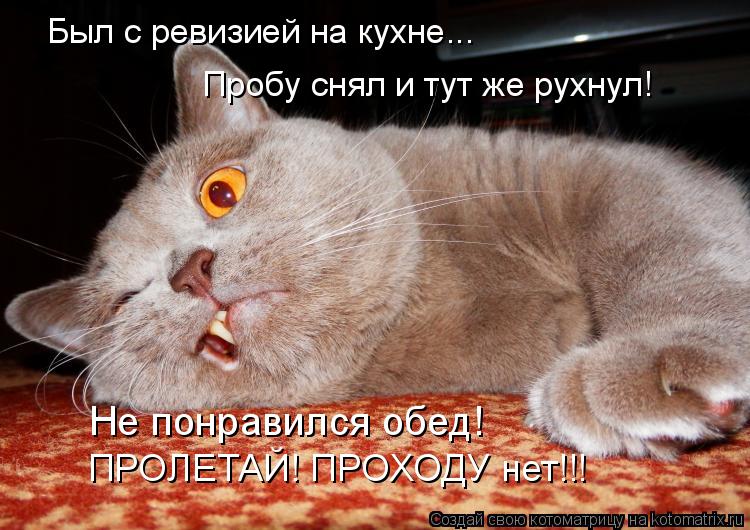 Был с ревизией на кухне... Пробу снял и тут же рухнул! ПРОЛЕТАЙ! ПРОХОДУ нет!!! Не понравился обед!... Котоматрица: Был с ревизией на кухне... Пробу снял и тут же рухнул! ПРОЛЕТАЙ! ПРОХОДУ нет!!! Не понравился обед!