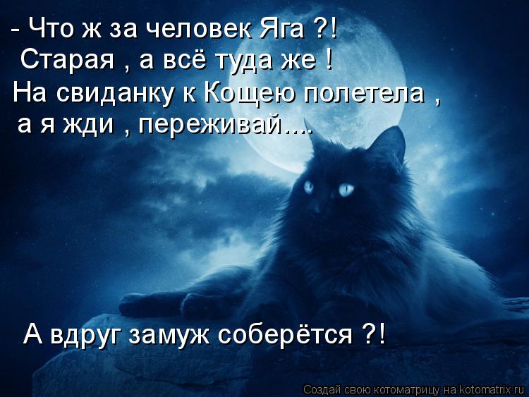 Котоматрица: - Что ж за человек Яга ?!  Старая , а всё туда же ! На свиданку к Кощею полетела ,  а я жди , переживай.... А вдруг замуж соберётся ?!