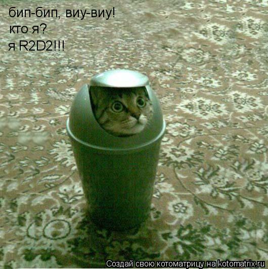 бип-бип, виу-виу! кто я? я R2D2!!!... Котоматрица: бип-бип, виу-виу! кто я? я R2D2!!!