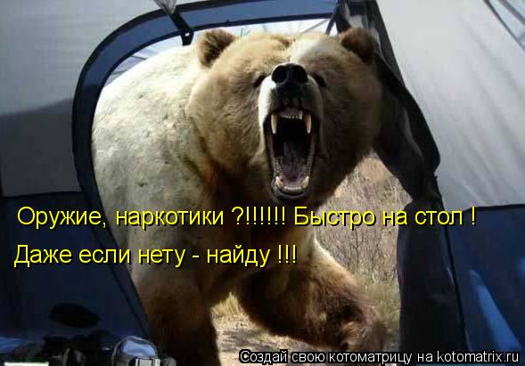 Котоматрица: Оружие, наркотики ?!!!!!! Быстро на стол ! Даже если нету - найду !!!