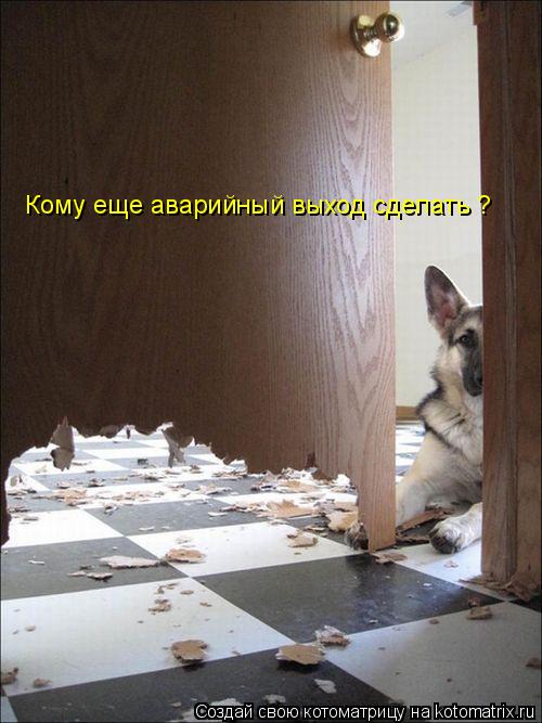Кому еще аварийный выход сделать ?... Котоматрица: Кому еще аварийный выход сделать ?