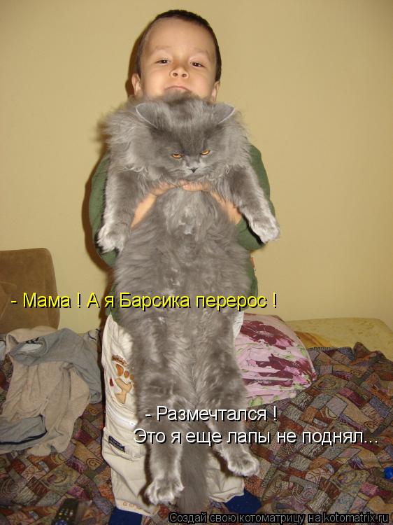 Котоматрица: - Мама ! А я Барсика перерос ! Это я еще лапы не поднял... - Размечтался !