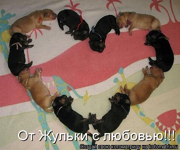 От Жульки с любовью!!!... Котоматрица: От Жульки с любовью!!!