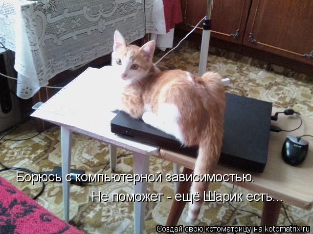 Котоматрица: Борюсь с компьютерной зависимостью. Не поможет - ещё Шарик есть...