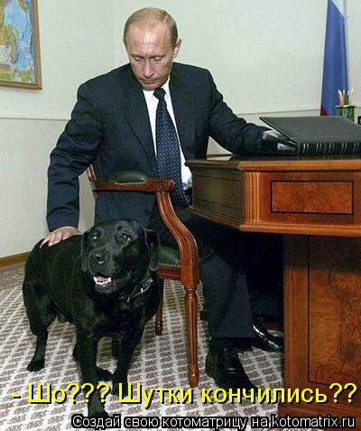 - Шо??? Шутки кончились??... Котоматрица: - Шо??? Шутки кончились??