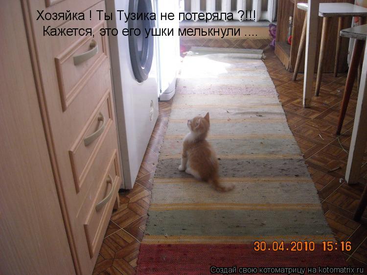 Хозяйка ! Ты Тузика не потеряла ?!!! Кажется, это его ушки мелькнули ....... Котоматрица: Хозяйка ! Ты Тузика не потеряла ?!!! Кажется, это его ушки мелькнули ....
