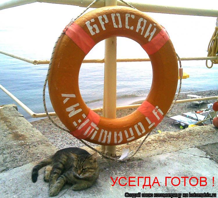 УСЕГДА ГОТОВ !... Котоматрица: УСЕГДА ГОТОВ !