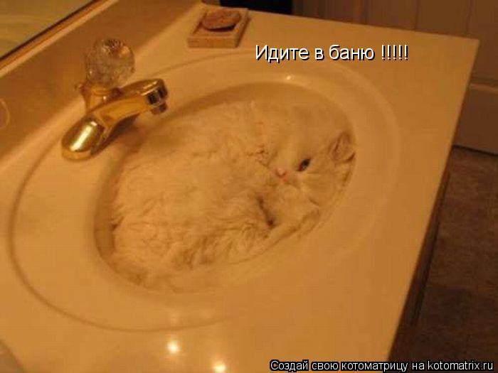 Идите в баню !!!!!... Котоматрица: Идите в баню !!!!!