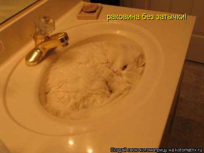 раковина без затычки!... Котоматрица: раковина без затычки!