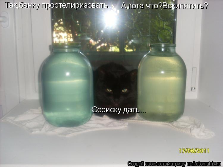 Так,банку простелиризовать... А кота что?Вскипятить? Сосиску дать...... Котоматрица: Так,банку простелиризовать... А кота что?Вскипятить? Сосиску дать...