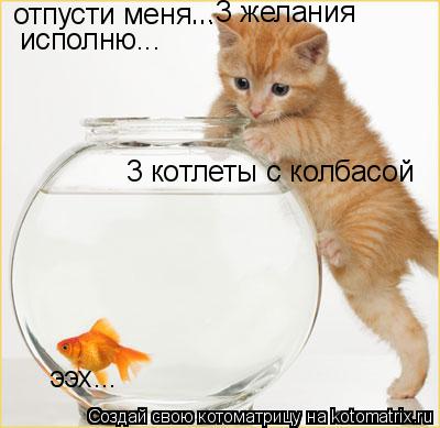 Котоматрица: отпусти меня... ...3 желания исполню... 3 котлеты с колбасой ээх...