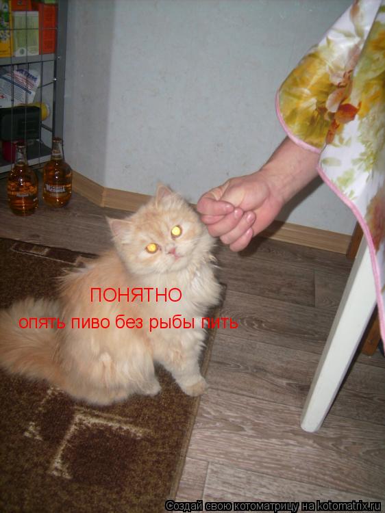 Котоматрица: ПОНЯТНО опять пиво без рыбы пить