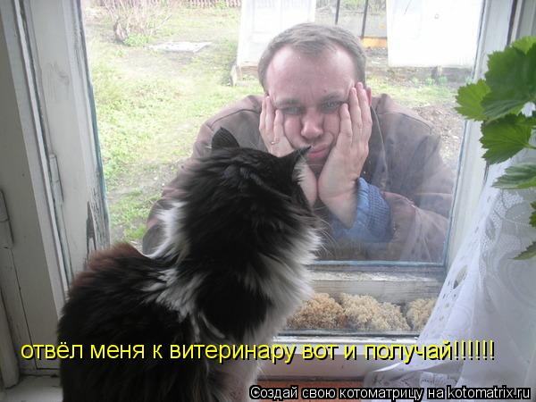 отвёл меня к витеринару вот и получай!!!!!!... Котоматрица: отвёл меня к витеринару вот и получай!!!!!!