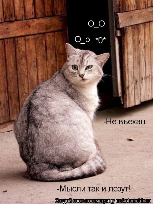 Котоматрица: О_о -Не въехал О_О *0* -Мысли так и лезут!