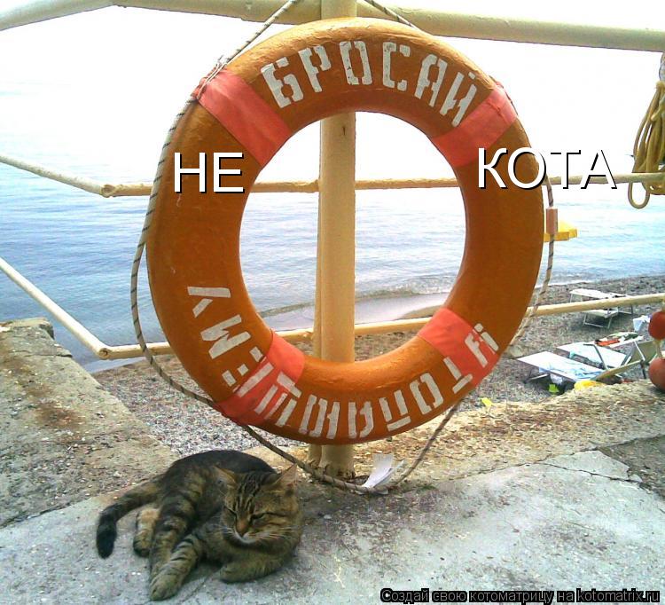 Котоматрица: НЕ КОТА