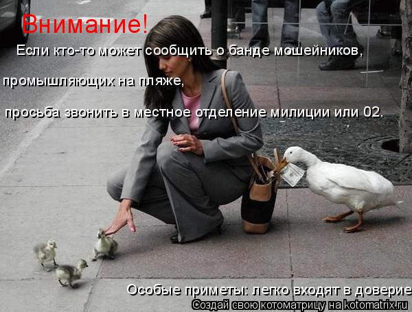 Котоматрица: Внимание! Особые приметы: легко входят в доверие. Если кто-то может сообщить о банде мошейников, промышляющих на пляже, просьба звонить в ме