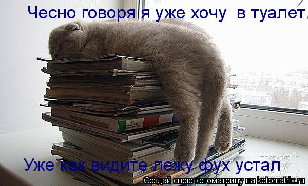 Котоматрица: Чесно говоря я уже хочу  в туалет Уже как видите лежу фух устал