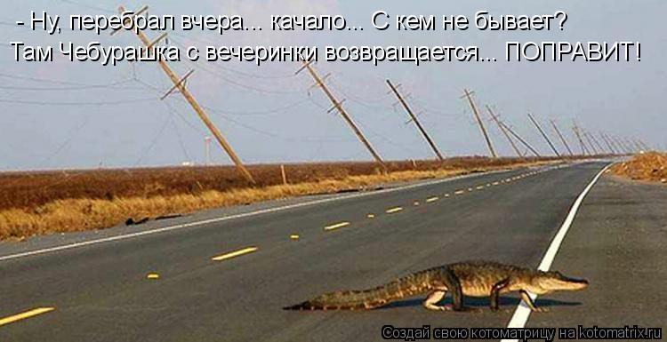 Котоматрица: - Ну, перебрал вчера... качало... С кем не бывает? Там Чебурашка с вечеринки возвращается... ПОПРАВИТ!
