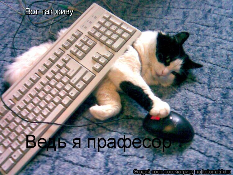 Вот так живу Ведь я прафесор... Котоматрица: Вот так живу Ведь я прафесор