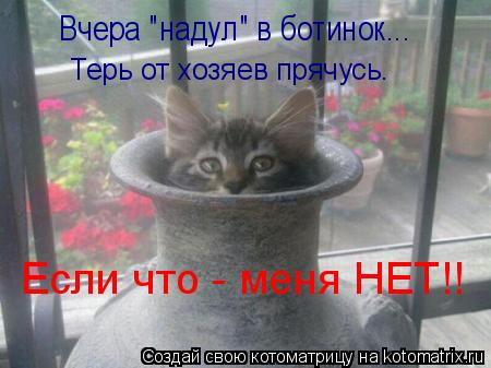 Котоматрица: Вчера "надул" в ботинок... Терь от хозяев прячусь. Если что - меня НЕТ!!