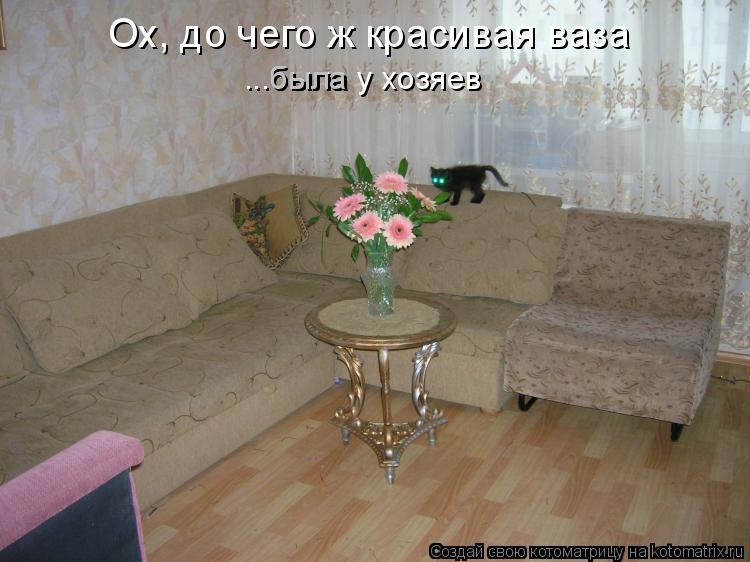 Котоматрица: Ох, до чего ж красивая ваза ...была у хозяев была