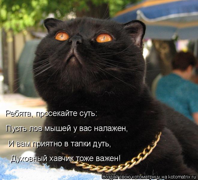 Котоматрица: Ребята, просекайте суть: Пусть лов мышей у вас налажен,  Духовный хавчик тоже важен!   И вам приятно в тапки дуть,