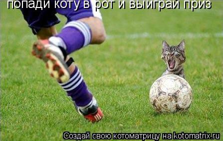 попади коту в рот и выиграй приз... Котоматрица: попади коту в рот и выиграй приз
