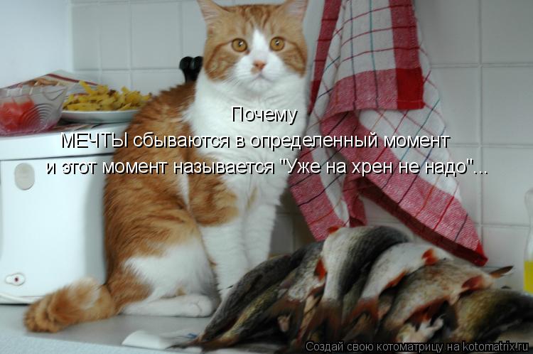 МЕЧТЫ сбываются в определенный момент и этот момент называется "Уже на хрен не надо"... Почему... Котоматрица: МЕЧТЫ сбываются в определенный момент и этот момент называется "Уже на хрен не надо"... Почему