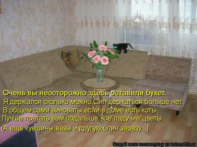 Очень вы неосторожно здесь оставили букет. Я держался сколько можно.Сил держаться больше нет. В общем... Котоматрица: Очень вы неосторожно здесь оставили букет. Я держался сколько можно.Сил держаться больше нет. В общем сами виноваты:если в доме есть коты, Л