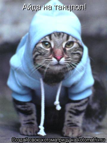 Котоматрица: Айда на танцпол!