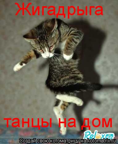 Жигадрыга танцы на дом... Котоматрица: Жигадрыга танцы на дом
