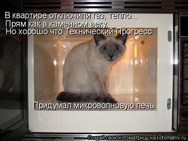 В квартире отключили газ, тепло... Прям как в каменном веку, Но хорошо что Технический Прогресс Приду... Котоматрица: В квартире отключили газ, тепло... Прям как в каменном веку, Но хорошо что Технический Прогресс Придумал микроволновую печь.