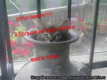 отпустииите!!!!! я больше не буду писать вам в тапки... Котоматрица: отпустииите!!!!! я больше не буду писать вам в тапки