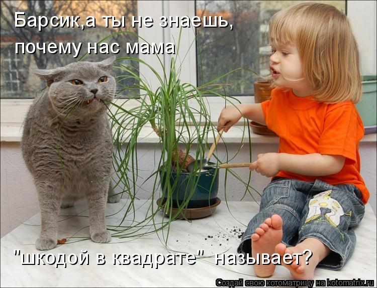Барсик,а ты не знаешь, почему нас мама "шкодой в квадрате" называет?... Котоматрица: Барсик,а ты не знаешь, почему нас мама "шкодой в квадрате" называет?