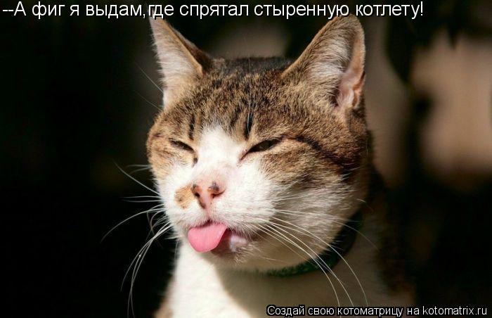 --А фиг я выдам,где спрятал стыренную котлету!... Котоматрица: --А фиг я выдам,где спрятал стыренную котлету!