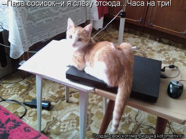 --Пара сосисок--и я слезу отсюда...Часа на три!... Котоматрица: --Пара сосисок--и я слезу отсюда...Часа на три!