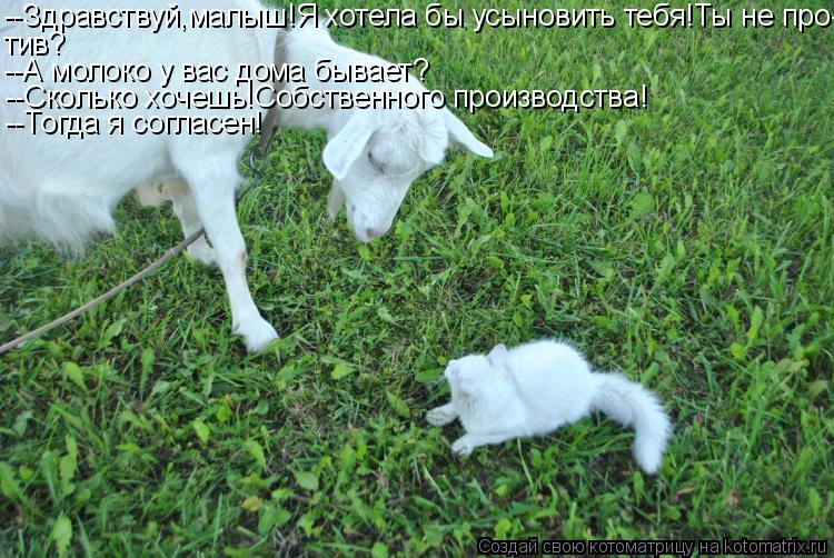 --Здравствуй,малыш!Я хотела бы усыновить тебя!Ты не про- тив? --А молоко у вас дома бывает? --Сколько... Котоматрица: --Здравствуй,малыш!Я хотела бы усыновить тебя!Ты не про- тив? --А молоко у вас дома бывает? --Сколько хочешь!Собственного производства! --Тогда
