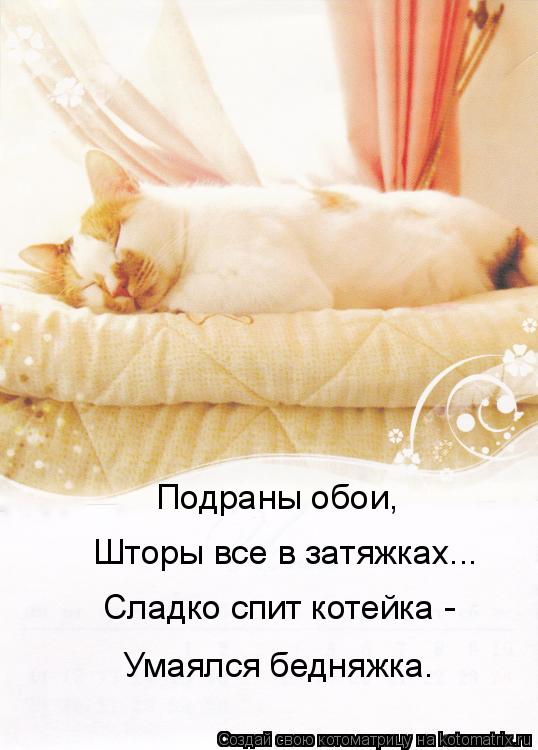 Котоматрица: Подраны обои, Шторы все в затяжках... Сладко спит котейка - Умаялся бедняжка.