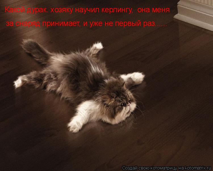 Какой дурак. хозяку научил керлингу, она меня за снаряд принимает, и уже не первый раз......... Котоматрица: Какой дурак. хозяку научил керлингу, она меня за снаряд принимает, и уже не первый раз......