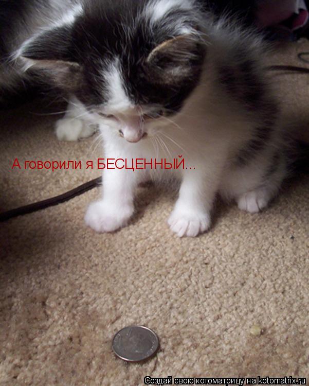 А говорили я БЕСЦЕННЫЙ...... Котоматрица: А говорили я БЕСЦЕННЫЙ...