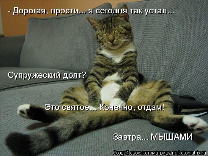 - Дорогая, прости... я сегодня так устал... Супружеский долг? Это святое... Конечно, отдам! Завтра...... Котоматрица: - Дорогая, прости... я сегодня так устал... Супружеский долг? Это святое... Конечно, отдам! Завтра... МЫШАМИ