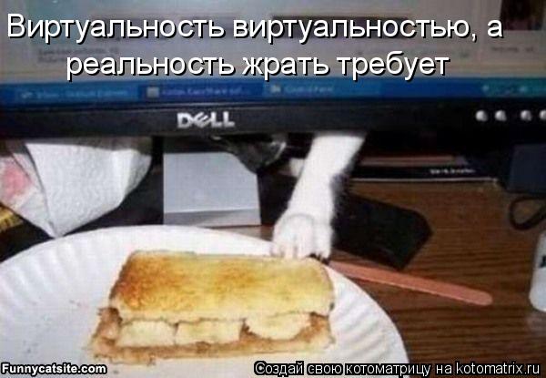 Виртуальность виртуальностью, а реальность жрать требует... Котоматрица: Виртуальность виртуальностью, а реальность жрать требует
