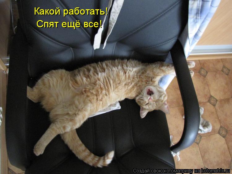 Какой работать! Спят ещё все!... Котоматрица: Какой работать! Спят ещё все!
