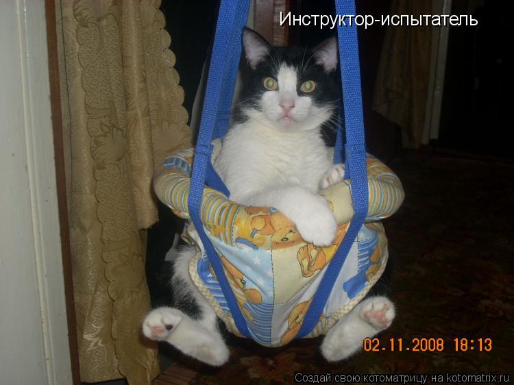 Котоматрица: Инструктор-испытатель