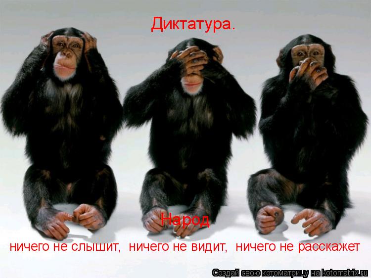 Котоматрица: Диктатура.                                                 ничего не слышит,  ничего не видит,  ничего не расскажет                Народ